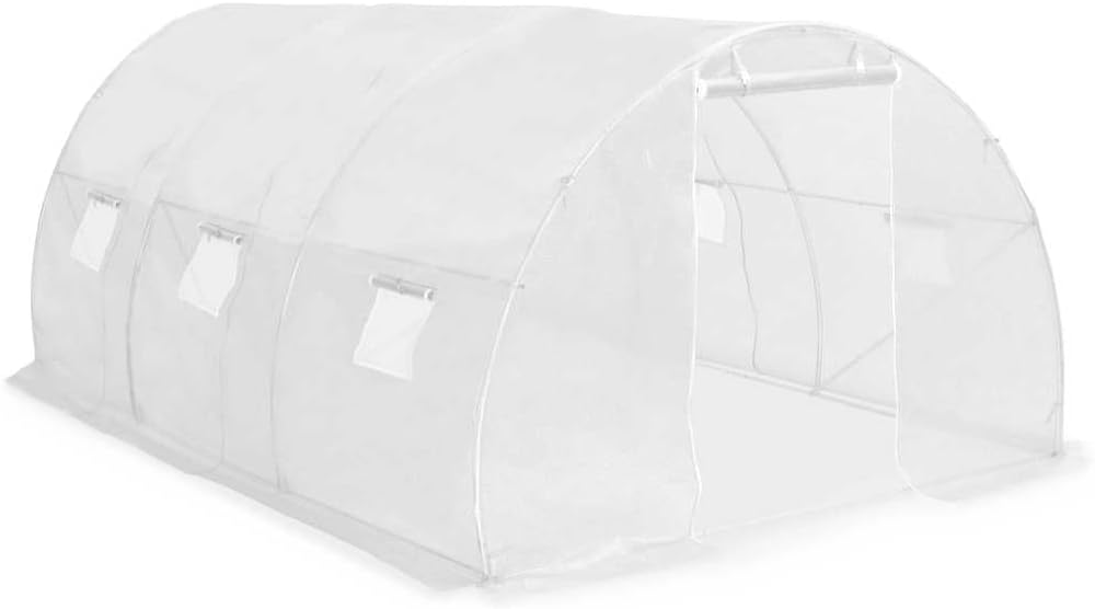 vidaXL Greenhouse, Cold Frame for Garden Patio Backyard Lawn Yard, Green House for Plant Growing Gardening, Outdoor Greenhouse Grow House