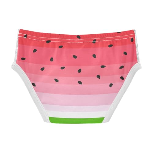 visesunny Boys Cotton Underwear Watermelon Slice Printed Toddler Soft Training Briefs Size 2T-8Y for Kids2