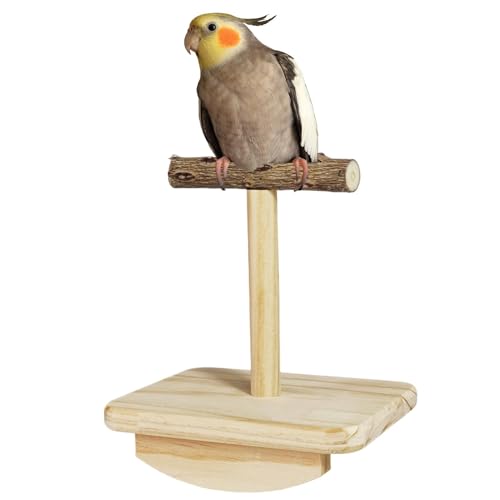 Haustier-Vogelwippe – Schaukelspielzeug Für Sittiche, Sitzstange Für Vögel | Vogelsitzstange, Schaukelspielzeug, Sicher, Naturholz, Vogelschaukel