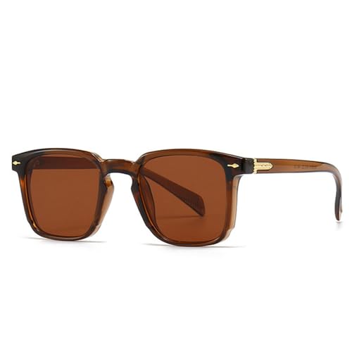 Lunettes de soleil de vacances avec verres dégradés thé brun