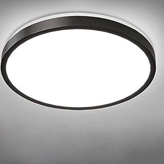 RAWNICE Bathroom Lights Ceiling LED,Black,24W,30cm,6000K Cool White,IP54,Fitting Indoor Lamp for Bathroom, Kitchen,Bedroom, Hallway, Corridor, Balcony, Living Room [Energy