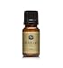 Coffee Cake Fragrance Oil - Premium Grade Scented Oil - 10ml