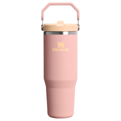 Amazon.co.jp: STANLEY(スタンレー): アイスフローフリップストロー