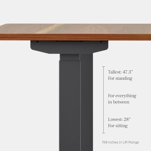 Image of Branch Duo Standing Desk, Adjustable Standing Desk with 20 inch Range | OLED Control Panel, Frameless Design and Compact Size Suitable for Many Spaces, 58 Inches, Charcoal Top, White Base