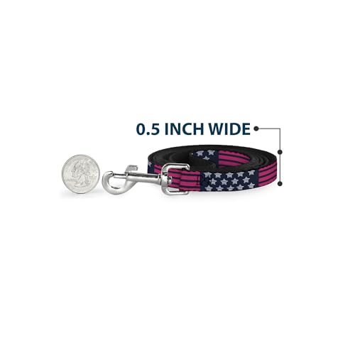 Laisse pour chien Stars & Stripes 2 Buckle Down nylon robuste - 5