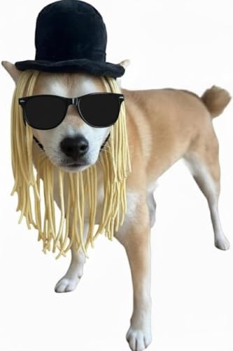 Disfraz para perros sombrero con peluca negra talla M