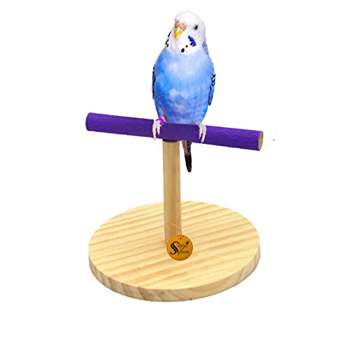 Sage Square Natural Sand Wooden Bird Playful Climbing Table Stand for Cage Accessory Perch Bird Toy for Budgies, Cockatiel, Parrot, Conure, Java, Finch, Canary and Other Small Birds (B087D1K3TC) Amazon Price History, Amazon Price Tracker