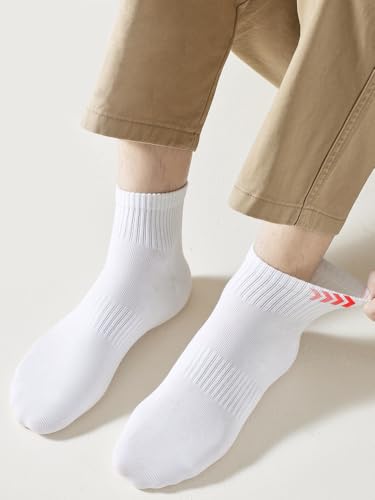Image of HAVE A TREE Women's Ankle Socks 6 Pairs Thin Cotton Athletic Gym Socks | Soft, breathable, well-made cotton socks with arch support, stay put, fit true to size, and offer great value.