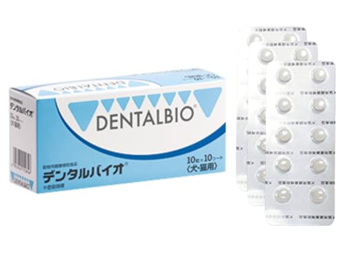 デンタルバイオ」の人気商品一覧 | 安い商品を通販サイトから探す