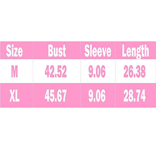 Image of Japanese Harajuku Style Kawaii Pastel Goth Fashion Crewneck Cartoon Little Bear with Cookies Print T-Shirt XL Blue