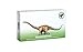 Flash of Brilliance Dinosaur Flash Cards with Fun Facts and Pronunciation Keys for Each Dinosaur by the