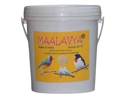 Maalavya Kangani (Foxtail Millet) Small Size A Quality Feed for All Kind of Small Birds 1.8 KG (B09FFJ6CZ2) Amazon Price History, Amazon Price Tracker