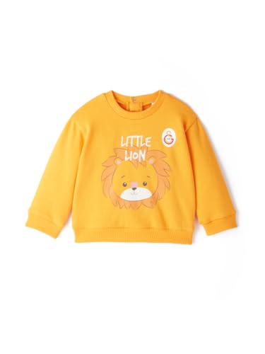 Galatasaray Bebek Sweatshirt B251008