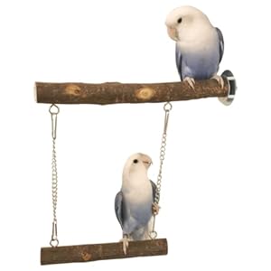 Bird Swing, Natural Wooden Parrot Cage Toys Bird Perch Stand for Parakeets Cockatoos Conures Lovebirds Bird Cage Accessories