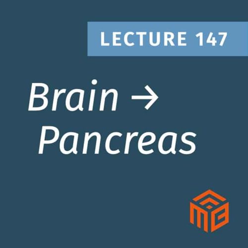 How Your Brain Talks to Your Pancreas (The Vagus Nerve Explained)