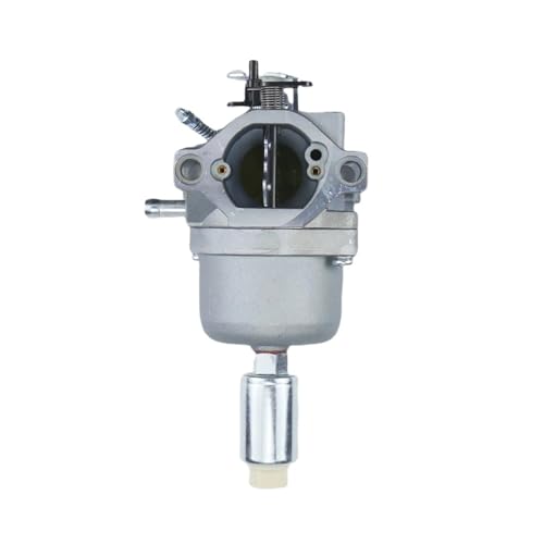 Carburateur 792036 pour l'entretien de pelouse avec moteur Briggs Stratton 697216
