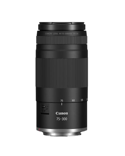 デジタル一眼 Canon EOS 80D/Canon EF75-300mm F4-5.6III Canon EOS 80D camera bundle: Amazon.co.uk: Electronics & Photo