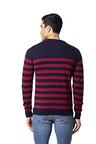 Image of Allen Cooper Strips Sweater for Men