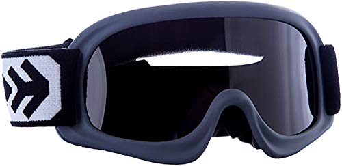 Arrow · AG-49 "Titan" (zilver) · Kids Cross-bril · Moto Sport veiligheidsbril MX kinderen Enduro · (Black/Silver/Clear)