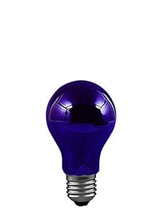 Paulmann 59070 Schwarzlicht Glühbirne 75W E27