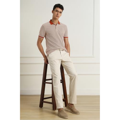 Image of Van Heusen Premium Polo T-Shirt for Men | Quick Dry | Comfort Fit | Breathable Fabric