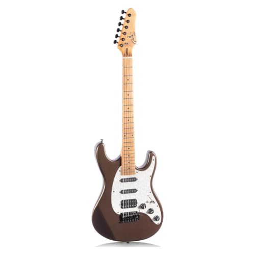 guitarra eléctrica Guitarra eléctrica de cuerpo sólido Instrumento profesional