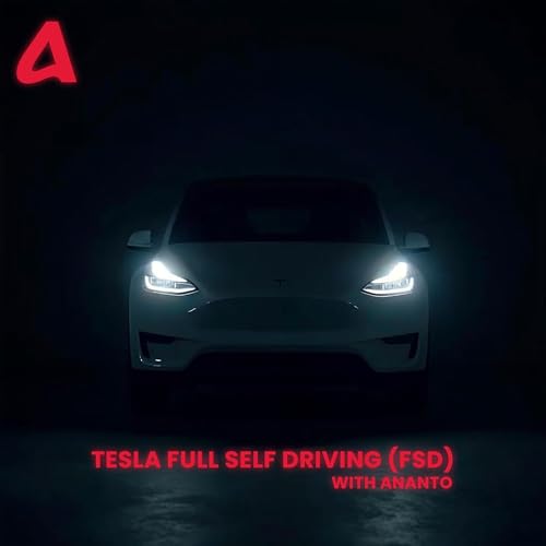 Couverture de Tesla Full Self Driving (FSD) with Ananto