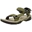 Dark Olive Green