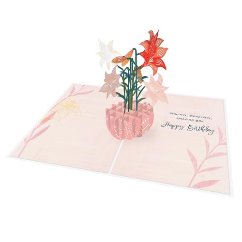 Designer Pop!a|bvAbvO[eBOJ[h ? X^[QCU[  3DfUC (tJ[h1) FB Ƒ ʂȐl