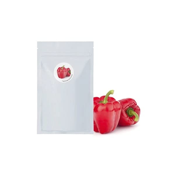 VibeX Shimla Mirch (Red)-100 Seeds (B0BBGTLNBG) Amazon Price History, Amazon Price Tracker