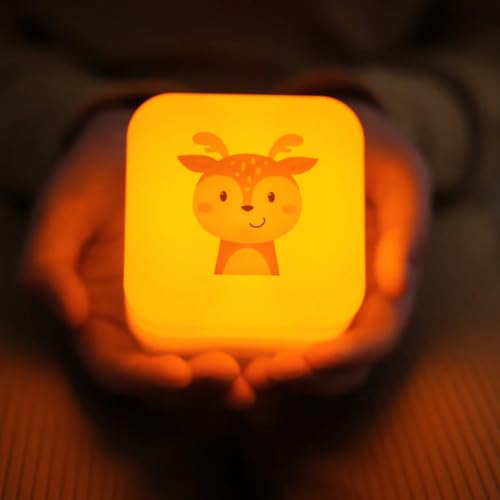  Cloud B - Cube B - Finley Fawn