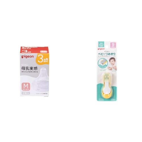 sW   3 M 2 K؂ȋz(b`I)ɓ + xr[߂ Ă^ 15107 ܐ؂ xr[pyZbgz