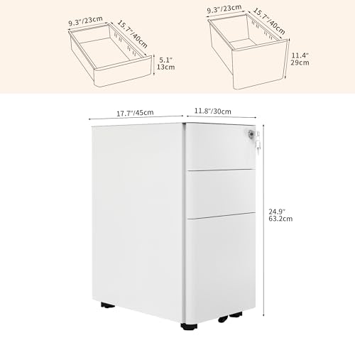 Armoire de rangement sécurisée en métal pour protéger vos documents - 4