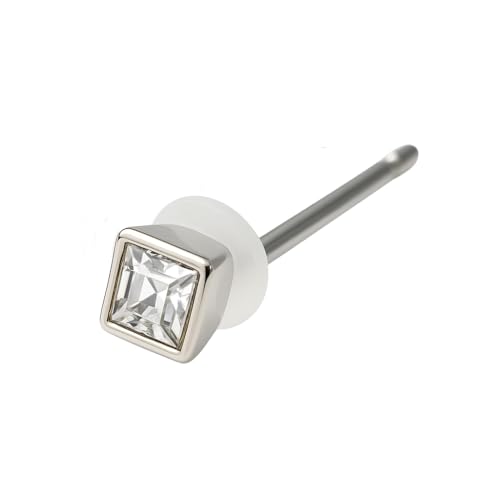 stelino sAX fB[X `^|Xg ZJh t@[Xg CXg[ AM[Ή U  (Vo[(Ў)NX^)