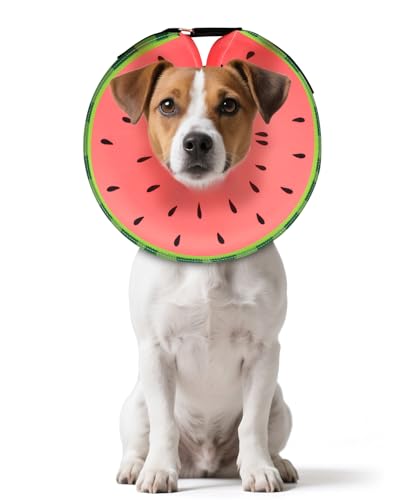 Image of MIDOG Inflatable Dog Cone, Soft Donut Recovery Collar, Red, Small
