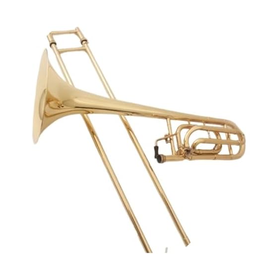 Trombón Principiante Trombón Tenor Transpositor En Si Bemol Instrumento De Metal
