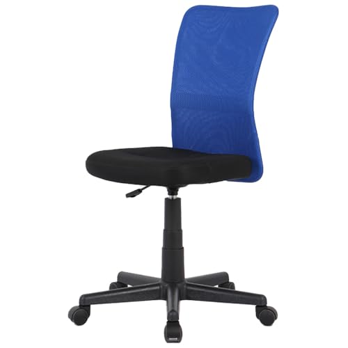 Amazon | 【リニューアルでより頑丈に】アイリスプラザ オフィスチェア