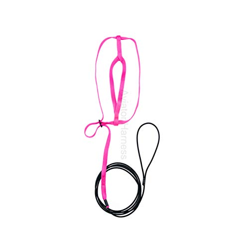 Image of The AVIATOR Pet Bird Harness and Leash: X-Large Pink