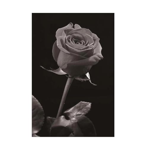 Salon triste ? Habillez vos murs avec la peinture sur toile rose noir et blanc YAJNILUCK