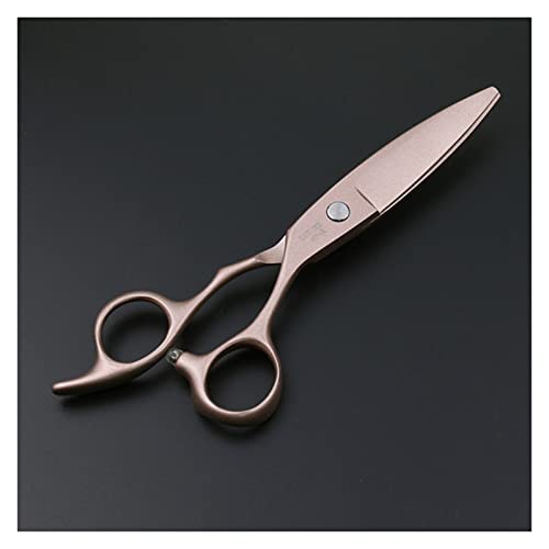 Ciseaux de coupe de cheveux 6 pouces et ciseaux à feuilles de saule ménagers - 6