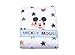Trapuntina Topolino Mickey Mouse Bianco/cielo Sfilabile per carrozzina TC0206WD