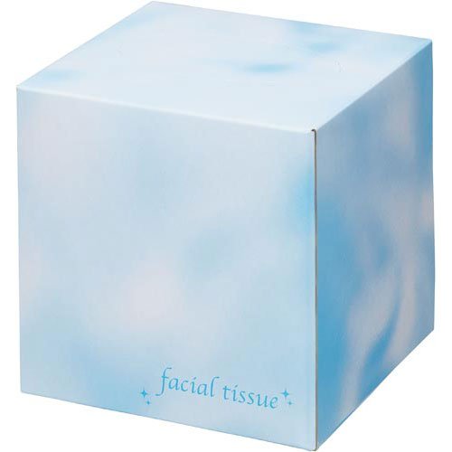 大一紙工 フェイシャルサイコロボックス 80組×5