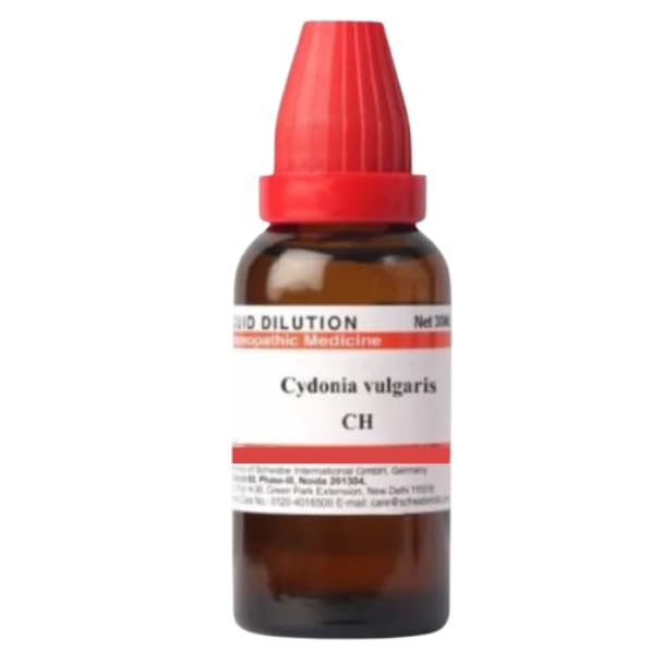 1.01Fl Oz / 30ml - Cydonia Vulgaris 30Ch, Pack of 1