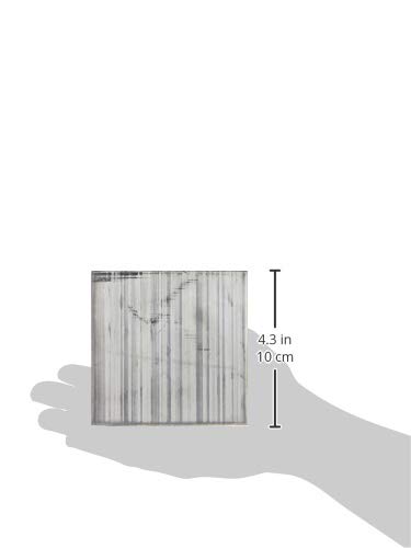 Amazon.co.jp: 未来工業 X線防護用 鉛板 100x100mm 鉛当量3.0mm X3S