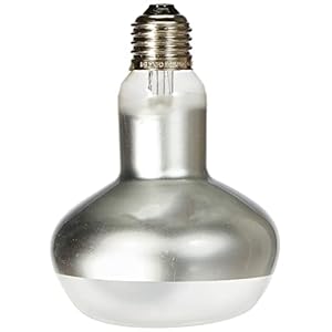 Exo Terra Intense Basking Spot Lamp, 150 W