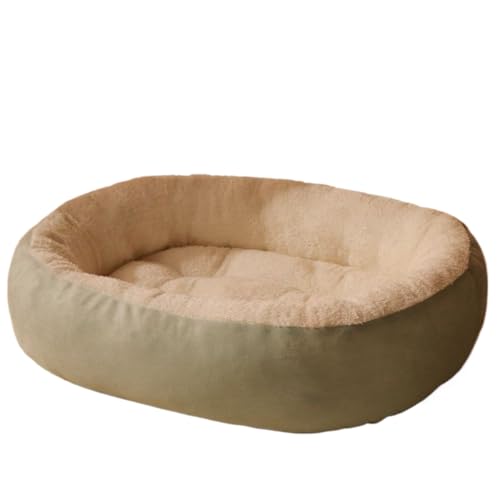 Fiozweaȉ~`łӂӂAg~pxbhƃLbgnEX́AƔLpłB^щ\Ő􂦂̂ŁAłOłg܂B (M,C)