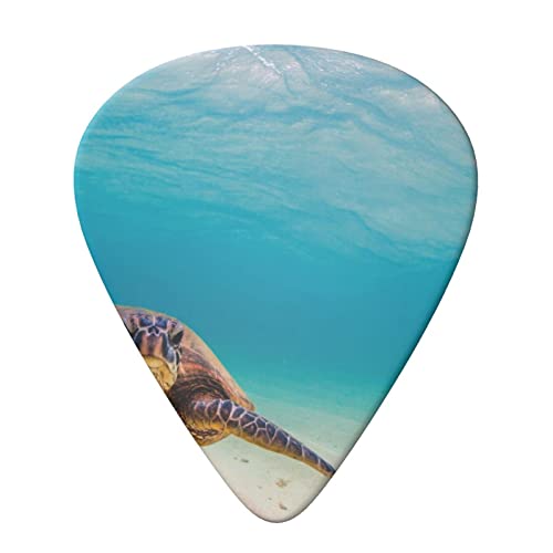 Lot de 6 médiators imprimés tortue de mer pour guitare acoustique et électrique - Les Beatles, Paul McCartney, John Lennon, RIngo Starr, George Harrison Lot de 6 médiators imprimés tortue de mer pour guitare acoustique et électrique – Image 4