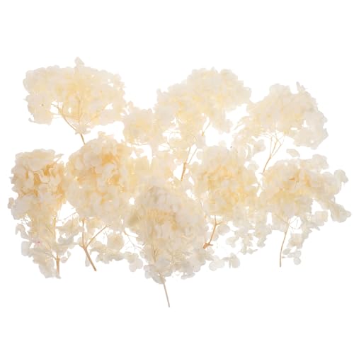 Pétalos de flor de hortensia seca natural 30g miniatura 1