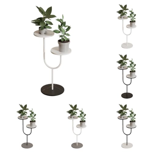 LightRiset[X^h ԒI AI  ϗtA  [ ԑ  t[X^h t[bN X  Jo[ t[ACA hTr uX^h 2i bN  Aؔ u I Jo[ (y^CvAzzCgt