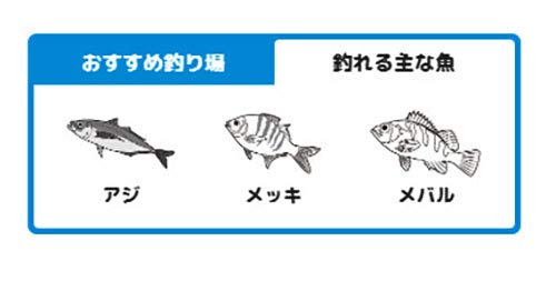 JACKALL(ジャッカル) グッドミール スキニー 1.5インチ グッドミールクリスタル 3枚目